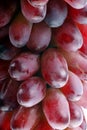 Fresh grapes close-up Royalty Free Stock Photo