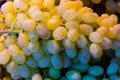 Fresh Grapes cluster on sale