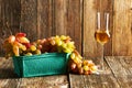 Fresh grapes and grappa Royalty Free Stock Photo