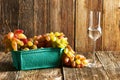Fresh grapes and grappa Royalty Free Stock Photo