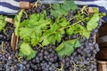 Fresh grapes for sale at the Panjshanbe Bazaar in Khujand