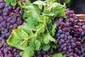 Fresh grapes for sale at the Panjshanbe Bazaar in Khujand