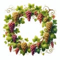 Fresh grapevine border frame, isolated on white background
