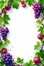 Fresh grapevine border with leaves fruit, white background, frame, green, template