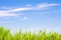 Fresh grass on and blue sky. landscape. beautiful view. nature, Royalty Free Stock Photo