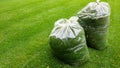 Fresh grass clippings in garbage bag on green grass