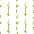 Fresh grass seamless vector pattern