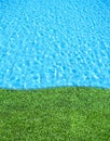 Fresh grass beside the swimming pool Royalty Free Stock Photo