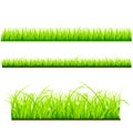 Fresh grass vector template