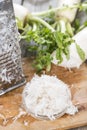 Fresh grated Horseradish Royalty Free Stock Photo