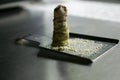 Fresh grated wasabi at a Japanese restaurant in Tokyo, Japan. Royalty Free Stock Photo