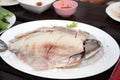 Fresh Gray pomfret, Chinese silver pomfret fish cut into pieces arranged in a white plate topped with ice. Royalty Free Stock Photo