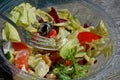 Fresh greek salad food in a plastic transparent box Royalty Free Stock Photo