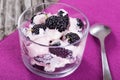 Fresh greek yogurt with berries on glass cup Royalty Free Stock Photo