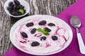 Fresh greek yogurt with colored stains and mulberry Royalty Free Stock Photo