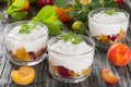 Fresh greek yogurt with yellow and red plums in cups