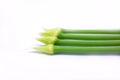 Fresh green Allium Spring Onion Flowers