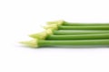 Fresh green Allium Spring Onion Flowers