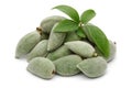 Fresh green almonds with leaves isolated on white Royalty Free Stock Photo