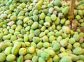 Fresh green almonds. Royalty Free Stock Photo