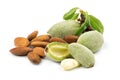 Fresh green almonds with soft shell with salty almond nuts isola