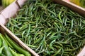 Fresh green anaheim peppers on counter market. Organic vegetable