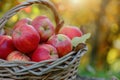 Fresh Green apples basket. Generate Ai Royalty Free Stock Photo