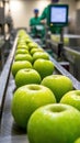 Fresh green apples on conveyor belt in modern fruit processing factory Royalty Free Stock Photo