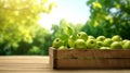 Fresh green apples in wooden crate on table with blurred organic farm background. Generative AI Royalty Free Stock Photo