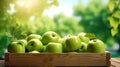 Fresh green apples in wooden crate on table and blurred organic farm on the background, mockup product display wooden board. Royalty Free Stock Photo