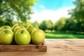 Fresh green apples in wooden crate on table and blurred organic farm on the background, mockup product display wooden board. Royalty Free Stock Photo