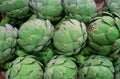 Fresh green artichoke