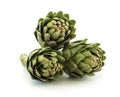 Fresh Green Artichoke Fruits Isolated