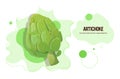 Fresh green artichoke sticker tasty vegetable icon healthy food concept horizontal copy space