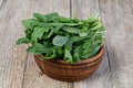 Fresh green arugula leaves Royalty Free Stock Photo