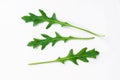 Fresh green arugula leaves isolated on white background Royalty Free Stock Photo