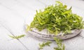 Fresh green arugula leaves on white board, rucola rocket salad on wooden rustic background with place for text. Selective focus, Royalty Free Stock Photo