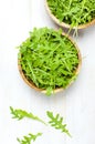 Fresh green arugula leaves on wooden bowl, rucola salad on white wooden rustic background top view with place for text. Rocket Royalty Free Stock Photo