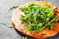 Fresh green arugula leaves in a wooden plate on Dark grey black slate background with copy space Royalty Free Stock Photo