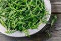 Fresh green arugula salad leaves in a bowl on a wooden background. Top view Royalty Free Stock Photo