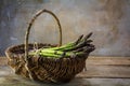 Fresh green asparagus in a basket on a rustic wooden table in fr Royalty Free Stock Photo