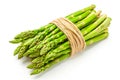 Fresh Green Asparagus Bundled with Twine