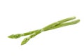 Fresh green asparagus isolated on white background Royalty Free Stock Photo