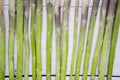 Fresh green asparagus stems on table Royalty Free Stock Photo