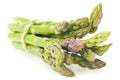 Fresh green asparagus tips Royalty Free Stock Photo