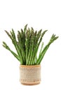 Fresh green asparagus in wooden pot.