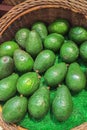 Fresh Green Avocado in The Basket