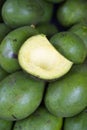 Fresh green avocados on display at farmers market Royalty Free Stock Photo