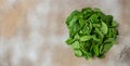 Fresh green baby spinach bundle. Vegetable. Long banner format. top view