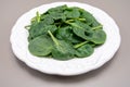 Fresh green baby Spinach leaves, diet and health concept, weight loss, spinach on ceramic plate, copy space Royalty Free Stock Photo